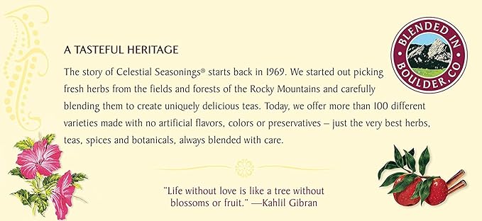 Celestial Seasonings Tea Cinnamon Apple Spice 20 ct