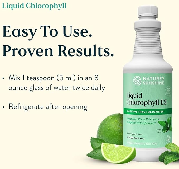 Nature's Sunshine Liquid Chlorophyll - Immunity Support Detox &amp Cleanse Chlorophyll Liquid Drops with Spearmint Oil Natural Energy Boost Internal Deodorant - 16 Fl Oz
