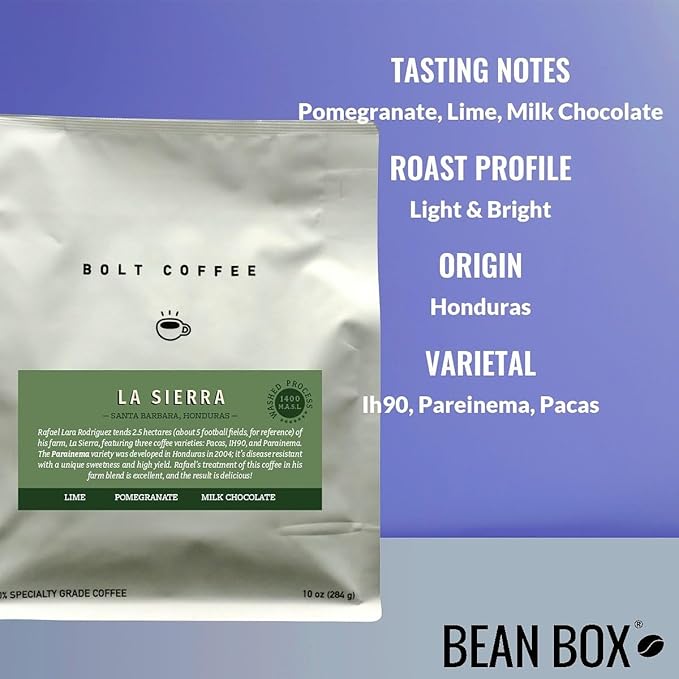 Honduras - La Sierra - Roasted by Bolt Coffee Co. - Whole Bean Coffee - 5 Pound Bag