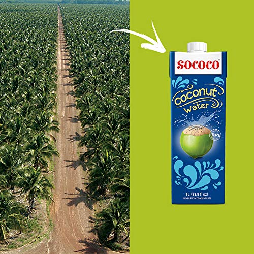 SOCOCO 100% Pure Coconut Water | Natural Electrolytes | Vital Nutrients | Refreshing 33.8 Oz (Pack of 12)