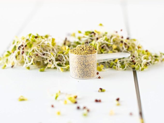 KOYAH - Organic USA Broccoli Sprout Powder (1 Scoop = 1/4 Cup Sprouts): 36 Servings Freeze-Dried Tested for Active Myrosinase and Glucoraphanin (Sulforaphane Glucosinolate)