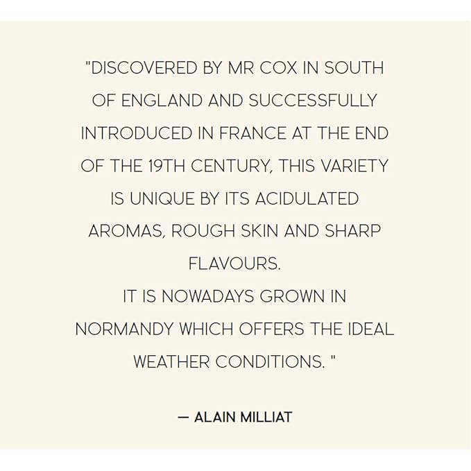 Alain Milliat Cloudy Cox Apple Juice 11.2 Fl Oz (Case of 12 330ml Glass Bottles) | Imported from France
