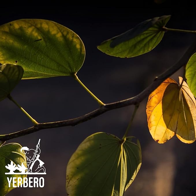 Yerbero - Te Herbal Pata De Vaca Bulk Sizes 8 oz (225gr) Herbal Tea (Cow's Foot Leaves - Bauhinia Forficata) Stand Up Resealable Bag Crafted By Nature100% All Natural Fresh Tea Tea non-GMO Gluten-Fr