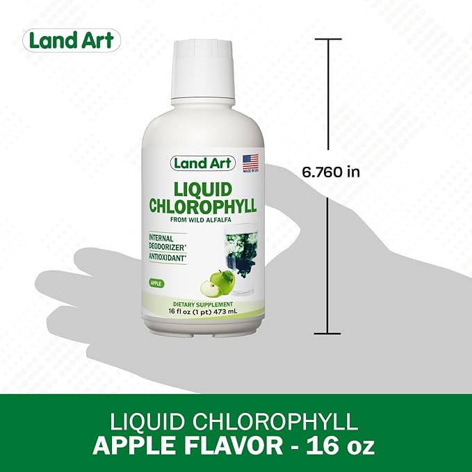 Liquid Chlorophyll Apple Flavored – Cold Extracted from Wild Non-GMO Alfalfa - Alkaline - Natural Body Deodorant – Antioxidant - 16 fl oz