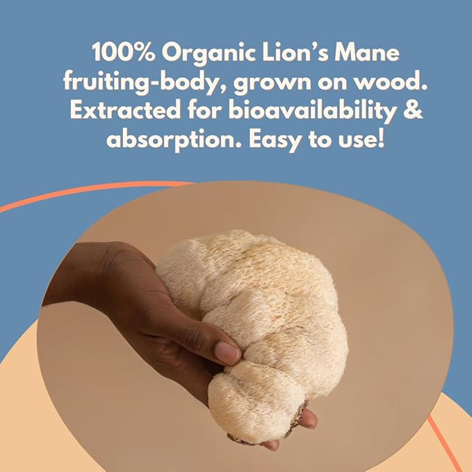 Malama Organic Mushroom Coffee Adaptogenic Mushroom Coffee with Lion's Mane for Focus Memory &amp Inmune Support – Blended with Organic Kona Roast | 12oz Bag