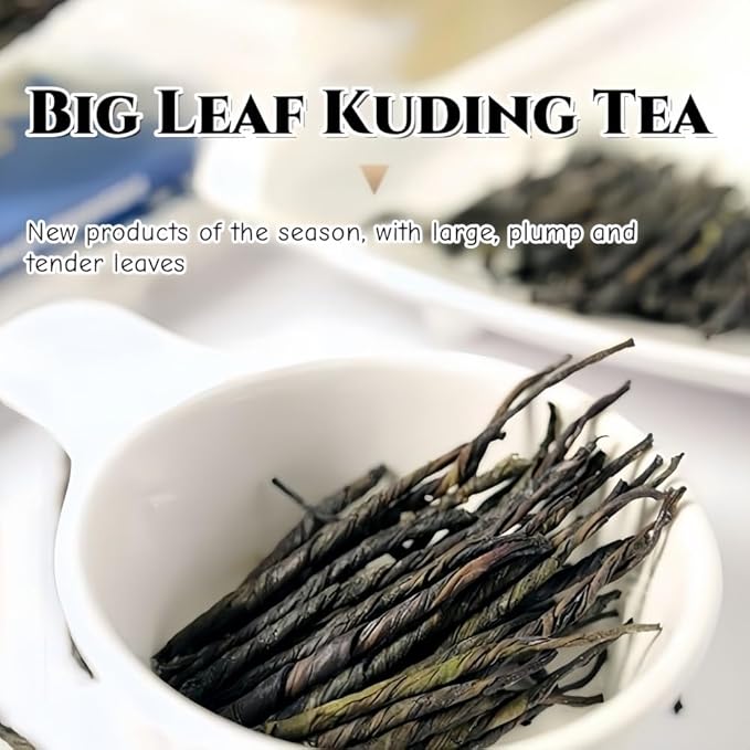 JINQI 2bottles Bitter Tea Kuding- 苦丁茶 大叶苦丁茶4.93oz/140g(2.46oz/70g*2) Chinese Herbal Green Tea Clearing Heat Holiday Gifts Tea Gifts