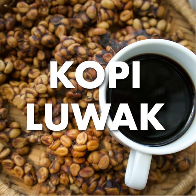 Kopi Luwak Coffee Sustainably Sourced Ground Fresh Roasted 16-ounces