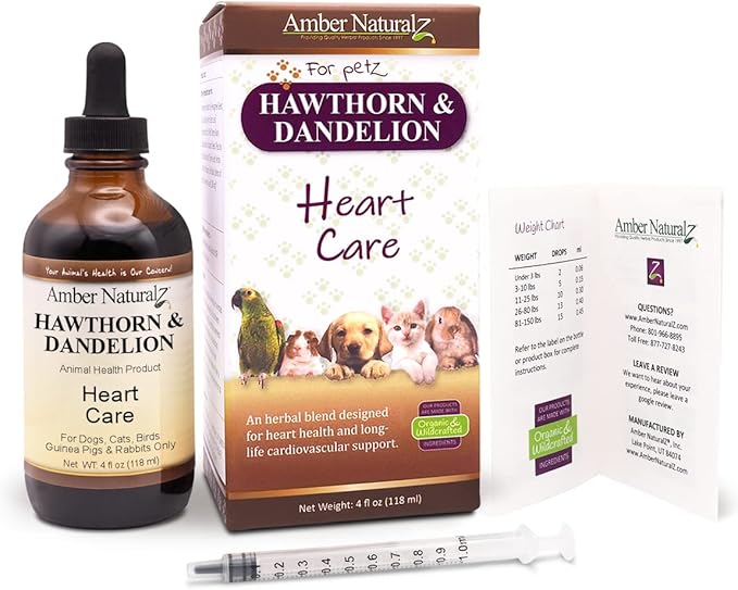 Amber NaturalZ Hawthorn &amp Dandelion Herbal Supplement for Dogs Cats Birds Rabbits and Guinea Pigs | Supports Heart Health Circulation and Fluid Balance | Natural Cardiovascular Care 4 FL Oz