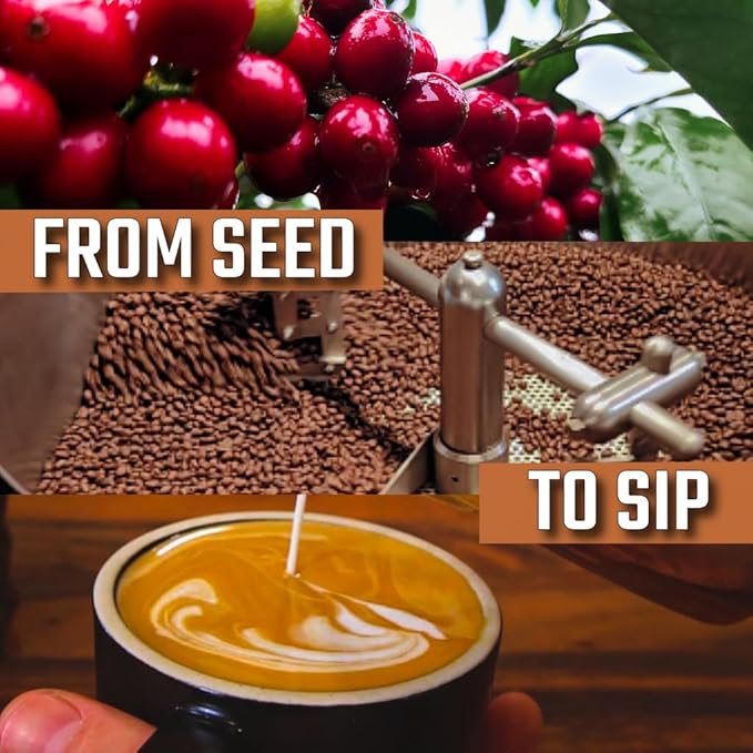 KONA EARTH 100% Kona Premium Coffee Medium Dark Roast Whole Bean 1 lb (16oz) Farm-Direct Authentic Hawaiian Kona Coffee beans from Hawaii’s Big Island Micro-Batch-Roasted