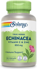 SOLARAY Echinacea Vitamin C and Zinc Wellness Formula - Immune Support Supplement - Echinacea Capsules with Vitamin C 500mg Plus Bioflavonoids Vegan 60-Day Guarantee 50 Servings 100 VegCaps