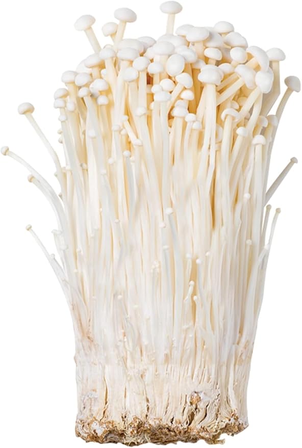 Organic Natural Pure Enoki Mushroom (flammulina velutipes) Enokitake Dried Bulk Herbs -(3.52 Ounce (100gram))