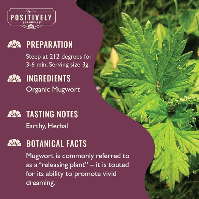 Organic Positively Botanicals Company Mugwort Herbal Tea Loose Leaf Botanical 16 Ounce