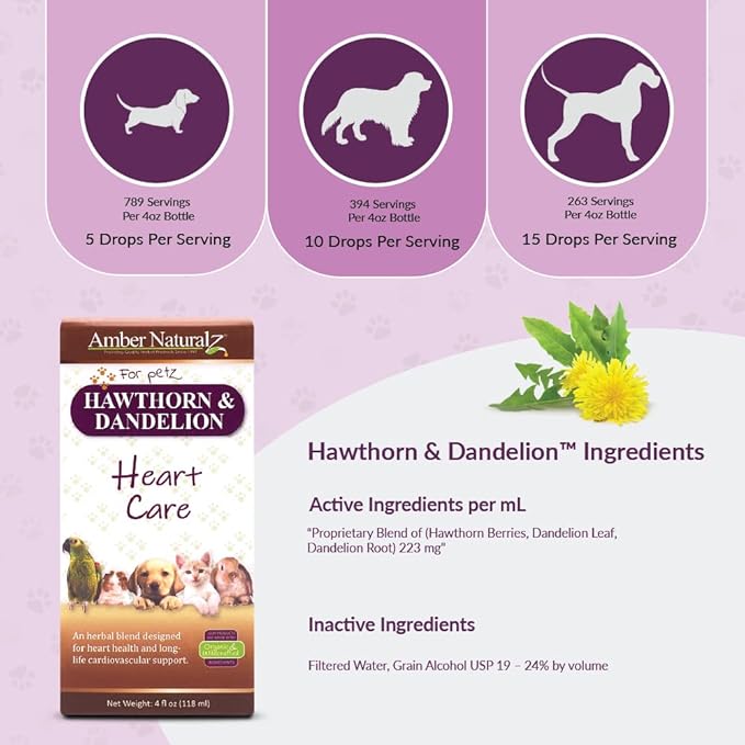 Amber NaturalZ Hawthorn &amp Dandelion Herbal Supplement for Dogs Cats Birds Rabbits and Guinea Pigs | Supports Heart Health Circulation and Fluid Balance | Natural Cardiovascular Care 4 FL Oz