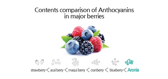 JustNature Polish Aronia Berry(Chokeberry) Juice Concentrate 19.61 Fl Oz