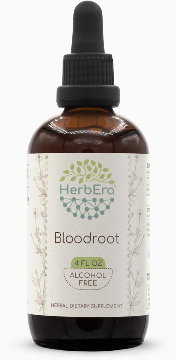 HerbEra Bloodroot B120 Alcohol-Free Herbal Extract Tincture Responsibly farmed Bloodroot (Sanguinaria Canadensis) Dried Root (4 fl oz)