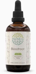 HerbEra Bloodroot B120 Alcohol-Free Herbal Extract Tincture Responsibly farmed Bloodroot (Sanguinaria Canadensis) Dried Root (4 fl oz)