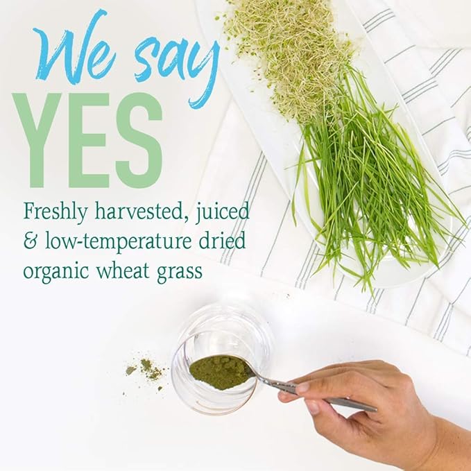 Garden of Life Raw Organic Perfect Food 100% Organic USA Wheat Grass Juice - Juiced Green Superfood Greens Powder 60 Servings - Stevia-Free Non-GMO Vegan Gluten Free Whole Food Dietary Supplement
