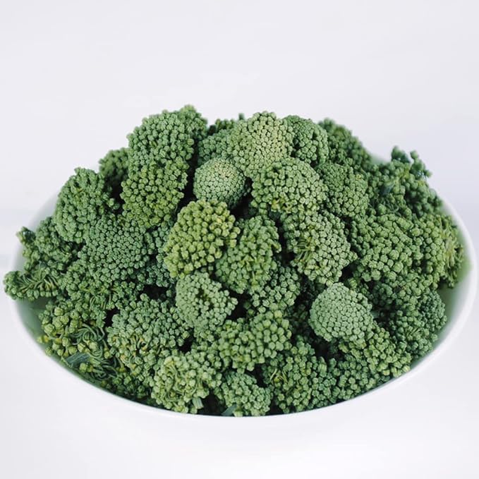 Panax Notoginseng Sanchi FlowerSanchi FlowerSanqi Flower BudsPseudo-Ginseng FlowerFlower Buds of Panax NotoginsengPanax Notoginseng Flower BudsanqihuaFlos Notoginseng??? (250 g(0.55 Pound))