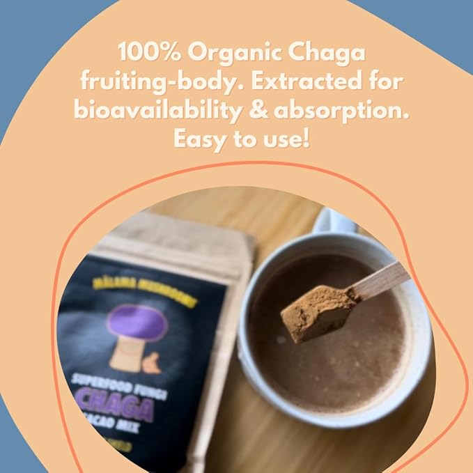 Malama Organic Mushroom Hot Cacao Mix Chaga Mushroom Powder with Fair Trade Cacao for Immune &amp Antioxidant Support – Vegan Supplement &amp Superfood Non GMO 3.5 oz (50 Servings)