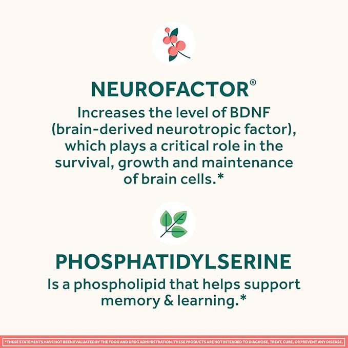 NEURIVA Original Brain Supplement for Memory Focus &amp Concentration + Learning &amp Accuracy with Clinically Tested Nootropics Phosphatidylserine and Neurofactor Caffeine Free 30 Capsules (2 Pa