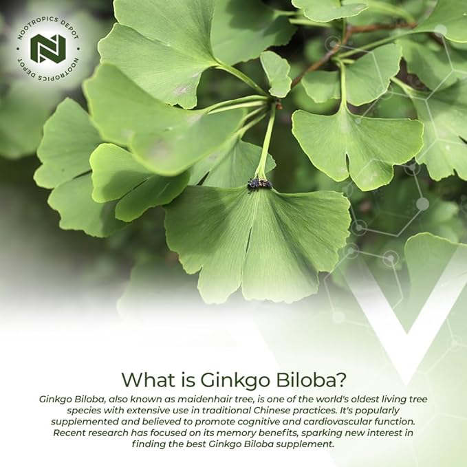 Nootropics Depot Ginkgo Biloba Extract Tablets | 120mg | 90 Count | Minimum 10% Kaempferol Glycoside + 2% Bilobalide | May Help Promote Cognitive &amp Cardiovascular Function