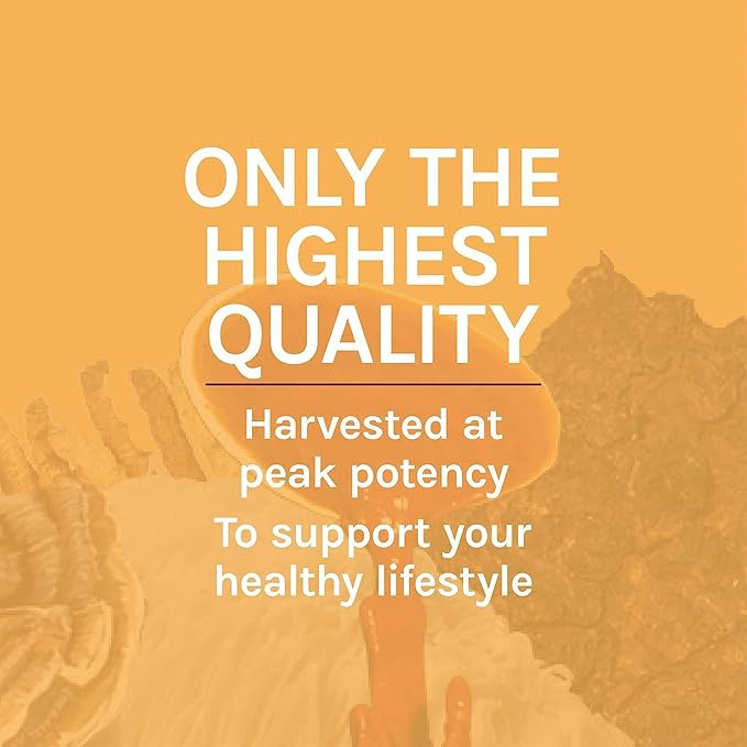 Host Defense Cordyceps Extract - Immune &amp Energy Support Supplement - Kidney Health Supplement with Cordyceps - Fitness Support to Aid Oxygen Uptake - 2 fl oz (60 Servings)*