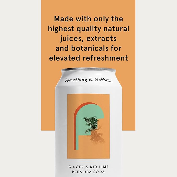 Something &amp Nothing Ginger &amp Lime Flavoured Sparkling Water | Lightly Carbonated Full Flavoured with Added Grape &amp Lemon Juice | Vegan &amp Low Calorie Soda | 12 Fl Oz Cans (Pack of 12)