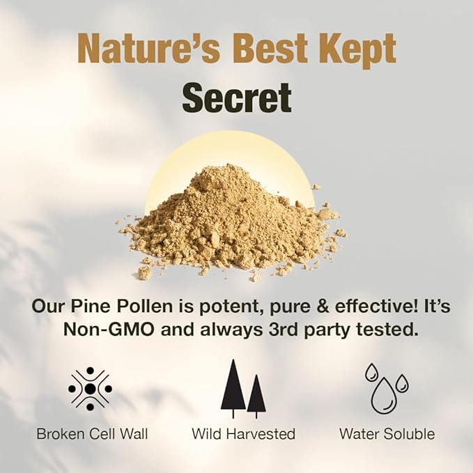 Samsara Herbs Pine Pollen Powder Wild Harvested - 99% Cracked Cell Wall (8oz/227g) Supports Healthy Energy &amp Longevity