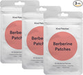 Kind Patches Berberine Patches with L Glutamine Chromium Pomegranate and Cinnamon - 3 Pack 90 Patches