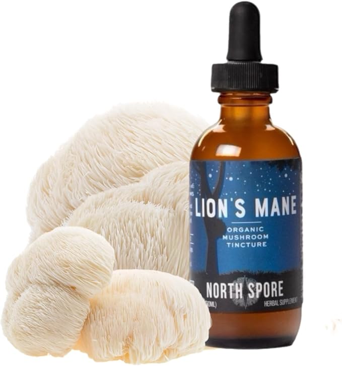 North Spore Organic Lion's Mane Mushroom Tincture (2 oz) | 100% Fruiting Body Extracts | for Focus Memory Brain Support | Certified Organic Vegan Non-GMO | Adaptogenic Nootropic | Made in USA