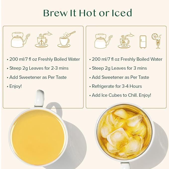 VAHDAM Ginger Mint Green Tea Bags (100 Count) High Grown Green Tea with Raw Ginger | Medium Caffeine | Non GMO Gluten Free | Mint Tea Bags | Resealable Ziplock Pouch