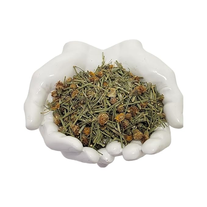 HealinGifts Cota Navajo Tea Indian Tea Greenthread Thelesperma Yabanah 4 ounces. Wildcrafted from North Central New Mexico.