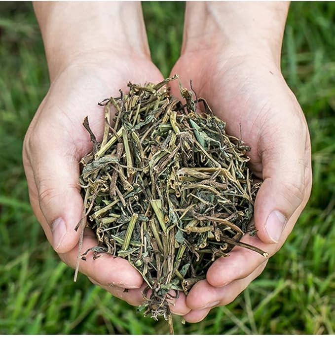 Organic Natural Pure Eclipta Prostrata(False Daisy) Dried Bulk Herbs -3.52 Ounce (100g)