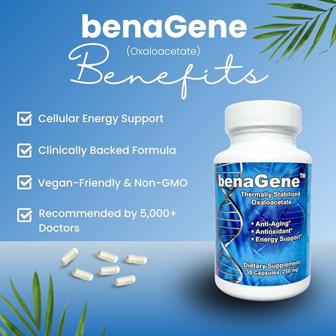 Benagene Oxaloacetate Supplement - Supports Cellular Energy - Thermally Stabilized with Vitamin C - Non-GMO &amp Vegan - 30 Servings Once Daily
