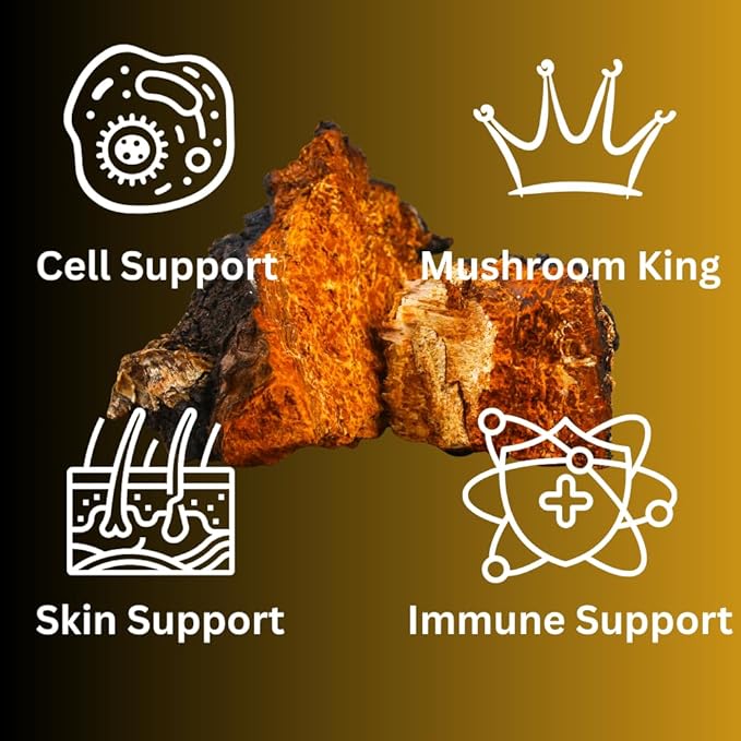 MagMushroom Chaga Mushroom Extract Liquid Tincture Daily Supplement Double Extracted for Maximum Potency 2 Fl. oz. 60 Daily doses