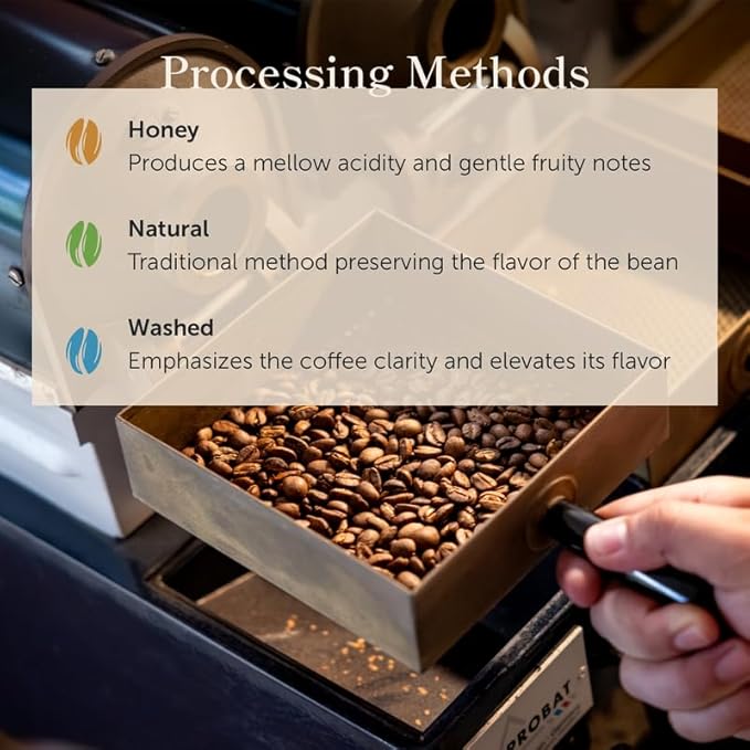 Bean of Fire El Salvador Gesha Natural Ground Coffee – Medium Roast Single Origin Specialty Chocolate &amp Lemon Cup (16 oz)