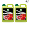 Possmei Pomegranate Flavored Syrup 5.5 Pound Plastic Jar 2 Pack