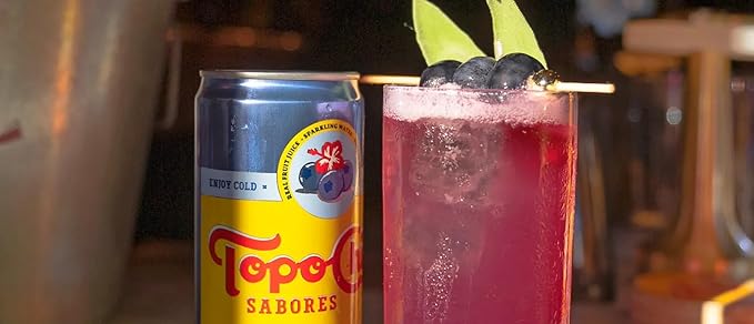 Topo Chico Sabores Variety Pack - Tangerine Ginger Blueberry Hibiscus &amp Lime Mint | 3 Flavors | 12 Fl Oz (Pack of 12)