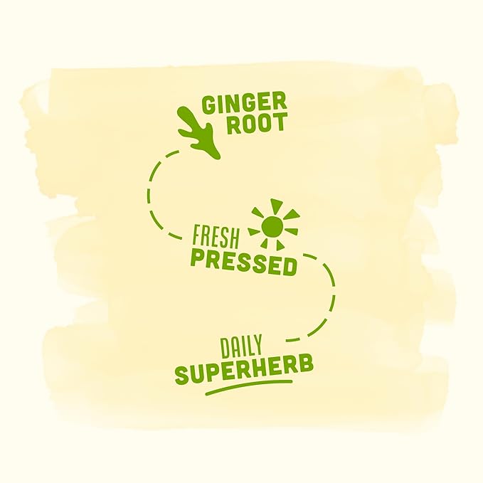 Vive Organic Immune Support Ginger Shot Cold-Pressed Ginger Root &amp Organic Juice Gluten Free Vegan Immunity Booster 2 Fl Oz (Pack of 12)