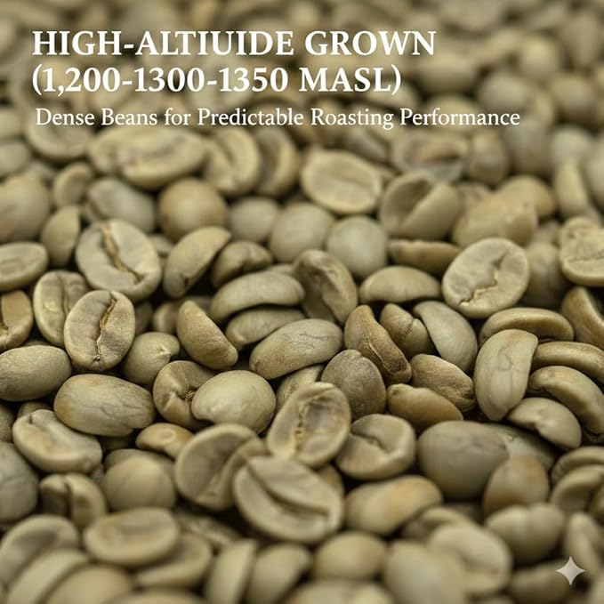 Current Crop Roasting Shop India Mysore Nuggets Green Coffee Beans – Unroasted Arabica for Home Roasting – Chikmagalur Single Origin Washed Process 3-Pound Bag