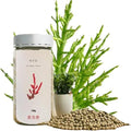Organic Natural Pure Glasswort (Samphire Salicornia Herbacea) Extract Herbal Pills Granule Ball - Concentrated Lump Grain Powder -5.29 Ounce(150g)
