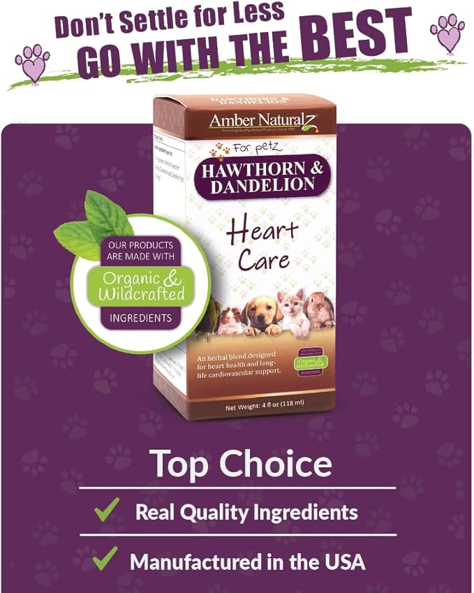 Amber NaturalZ Hawthorn &amp Dandelion Herbal Supplement for Dogs Cats Birds Rabbits and Guinea Pigs | Supports Heart Health Circulation and Fluid Balance | Natural Cardiovascular Care 4 FL Oz