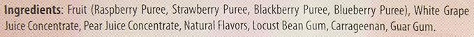 Dr. Smoothie 100% Crushed Fruit Smoothie Four Berry 46-Ounce Bottles (Pack of 2)