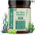 Sea Moss Gummies 16-in-1 with Black Seed Oil Ashwagandha 30 Servings Irish Seamoss Gummies Boosts Immune Support Wellness and Digestion