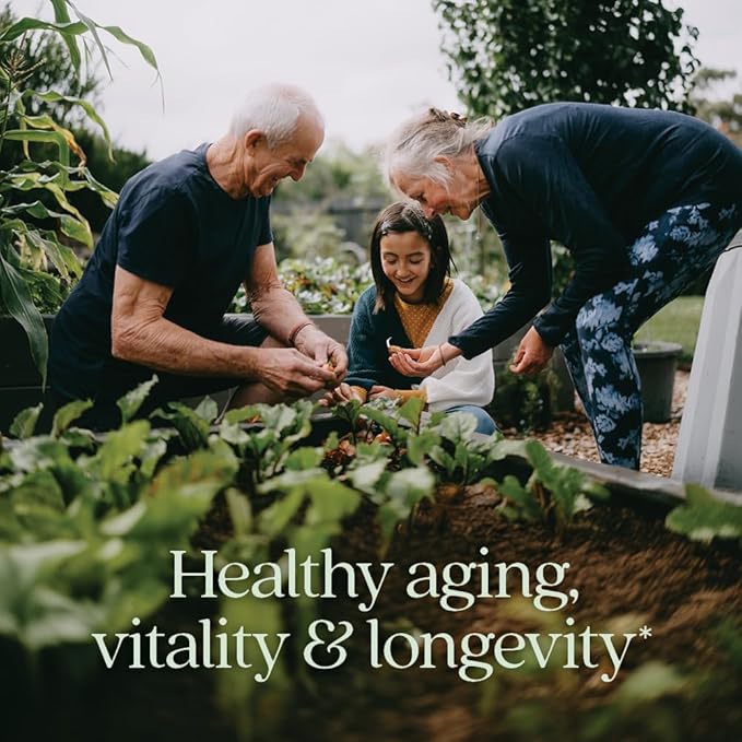 New Chapter Reishi Mushroom - LifeShield Reishi for Healthy Aging + Organic Reishi Mushroom + Vegan + Non-GMO Nootropic Ingredients - 60 ct