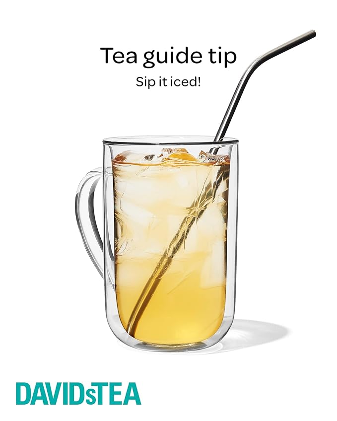 DAVIDsTEA Just Peachy Loose Leaf Tea Premium Herbal Tea with Peach and Apple Fruity Iced Tea 4 oz / 113 g