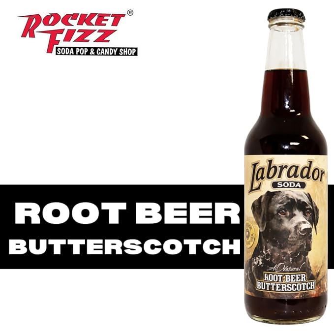 Rocket Fizz Labrador Root Beer Butterscotch Soda Flavor | Cane Sugar | Craft Soda Pop Drinks | 12 oz in Glass Bottle (6 Pack)
