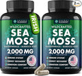 Sea Moss Capsules - Irish Sea Moss Advanced with Burdock Root Bladderwrack &amp Muira Puama for Immunity Gut &amp Energy - Superfood Sea Moss Supplements w/Raw Sea Moss Powder (2 Pack)