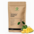 Jackfruit Leaves – Naturally Dried Herbal Leaves – Pure Artocarpus Heterophyllus Leaves for Tea &amp Traditional Preparations