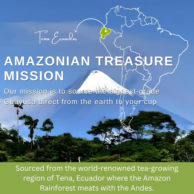 Amazonian Treasure Organic Guayusa Loose Leaf Tea 16 OZ (1LB) Smooth Energy Boost Alternative to Coffee &amp Yerba Mate 60 mg Caffeine per Serving.